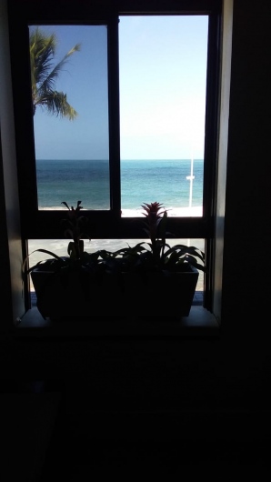 Antonio Fernando Cunha Veiga-0