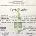 Ampliar imagem: certificate 8