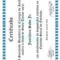 Ampliar imagem: certificate 4