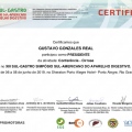 Ampliar imagem: certificate 4