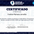 Ampliar imagem: certificate 4