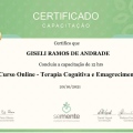 Ampliar imagem: certificate 3