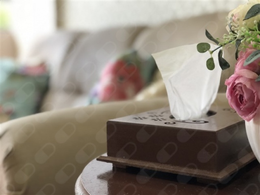 Lara Danieli Texeira-6