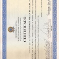 Ampliar imagem: certificate 5