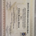 Ampliar imagem: certificate 2