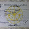Ampliar imagem: certificate 3