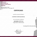 Ampliar imagem: certificate 5