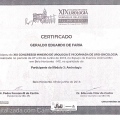 Ampliar imagem: certificate 295