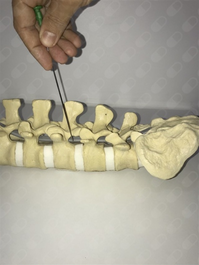 Fabricio Zacarias Paes-8