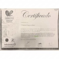 Ampliar imagem: certificate 9