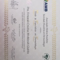 Ampliar imagem: certificate 1
