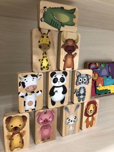 Gilvaneide Kamiya-19