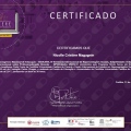 Ampliar imagem: certificate 9