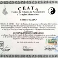 Ampliar imagem: certificate 12