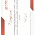 Ampliar imagem: certificate 3