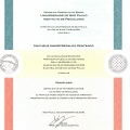 Ampliar imagem: certificate 3