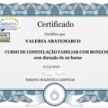 Ampliar imagem: certificate 5