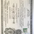 Ampliar imagem: certificate 3