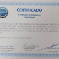 Ampliar imagem: certificate 4