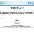 Ampliar imagem: certificate 4