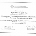 Ampliar imagem: certificate 95