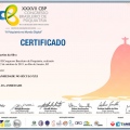 Ampliar imagem: certificate 12