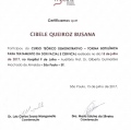 Ampliar imagem: certificate 5