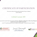 Ampliar imagem: certificate 21