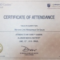 Ampliar imagem: certificate 2