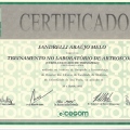 Ampliar imagem: certificate 11