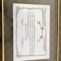 Ampliar imagem: certificate 12