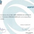 Ampliar imagem: certificate 2