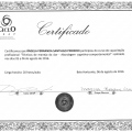 Ampliar imagem: certificate 8