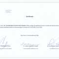 Ampliar imagem: certificate 3