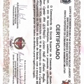 Ampliar imagem: certificate 9