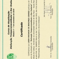 Ampliar imagem: certificate 6