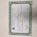 Ampliar imagem: certificate 4