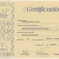 Ampliar imagem: certificate 8
