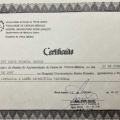 Ampliar imagem: certificate 15