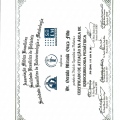 Ampliar imagem: certificate 7