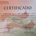 Ampliar imagem: certificate 3
