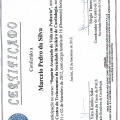 Ampliar imagem: certificate 16
