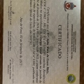 Ampliar imagem: certificate 6