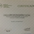 Ampliar imagem: certificate 10