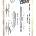 Ampliar imagem: certificate 4