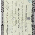 Ampliar imagem: certificate 5