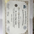 Ampliar imagem: certificate 6