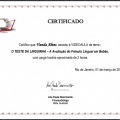 Ampliar imagem: certificate 4