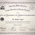 Ampliar imagem: certificate 2