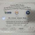 Ampliar imagem: certificate 4